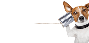 Neem contact met ons op