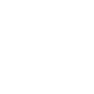 Couriers_Iconen_V3_Mail - COURIUS